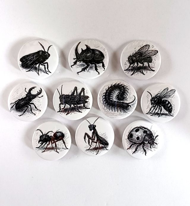 Set 10 spille a tema insetti sketch