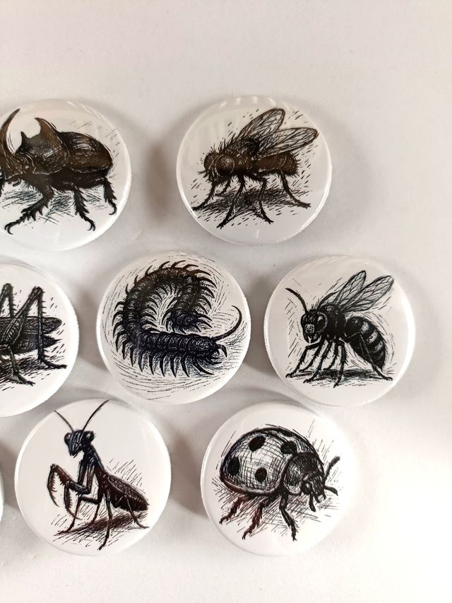 Set 10 spille a tema insetti sketch