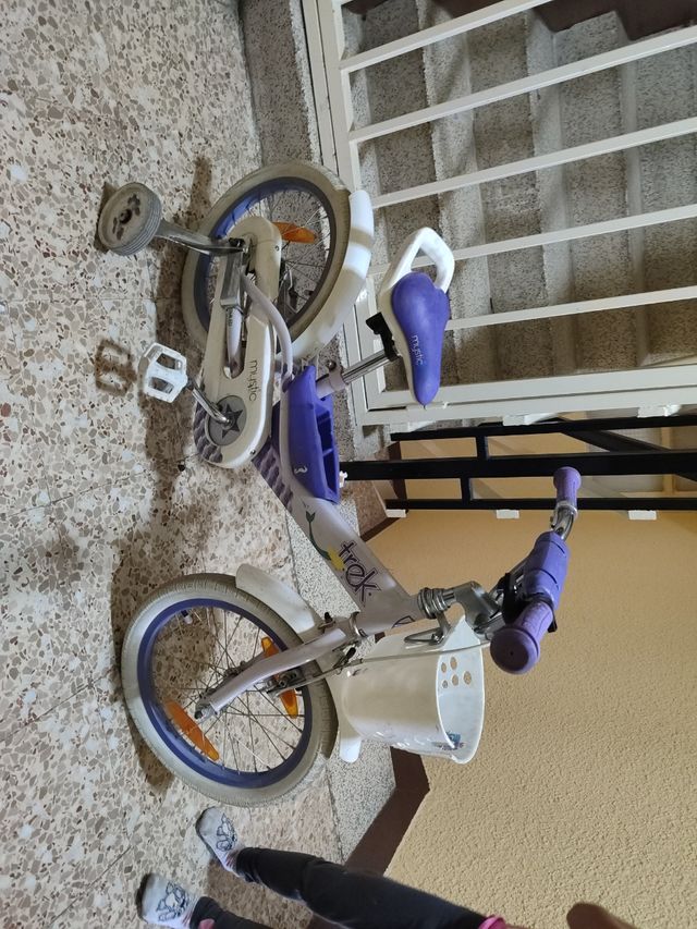 Bicicleta infantil Trek morada