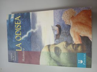 La odisea (Clásicos de la literatura series) (S...