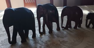 Elefantes de madera decorativos