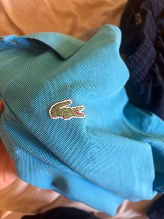 Polo Lacoste Azul Turquesa