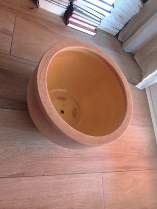 Maceta de cerámica con flor