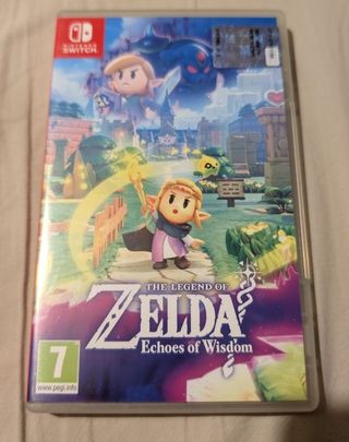 Zelda: Echoes of Wisdom Switch