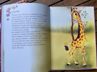 Cuccioli della foresta e cuccioli del bosco