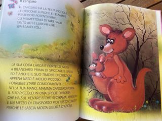 Cuccioli della foresta e cuccioli del bosco