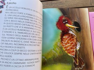 Cuccioli della foresta e cuccioli del bosco