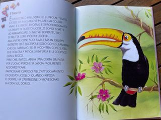 Cuccioli della foresta e cuccioli del bosco