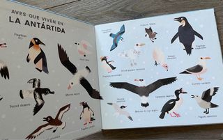 4 cuentos precipitáis sobre animales