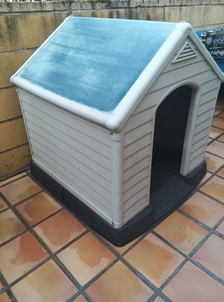 Caseta perro grande beige y verde