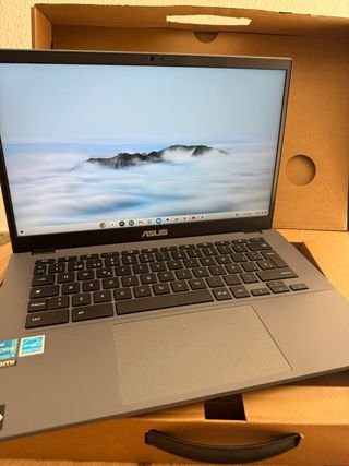 Portátil Asus Chromebook Plus Gris