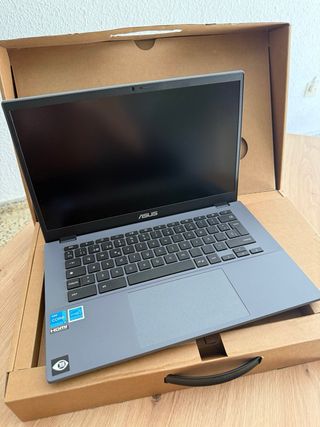 Portátil Asus Chromebook Plus Gris