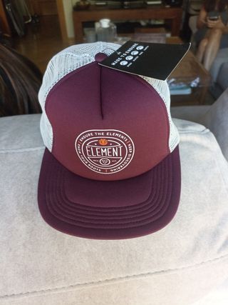 Gorra Element Morada Trucker