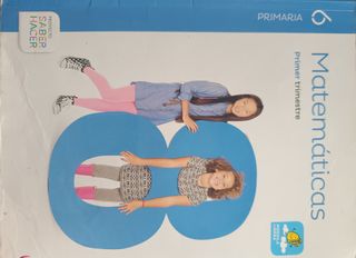 Libros de texto de Matemáticas de 6 primaria.