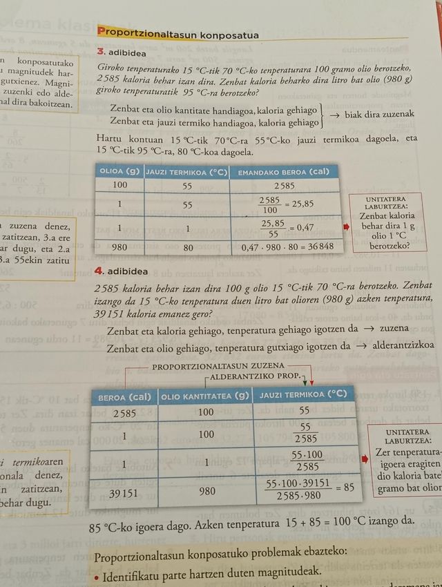 Matematika irakaskuntza akademikoetara bideratu...