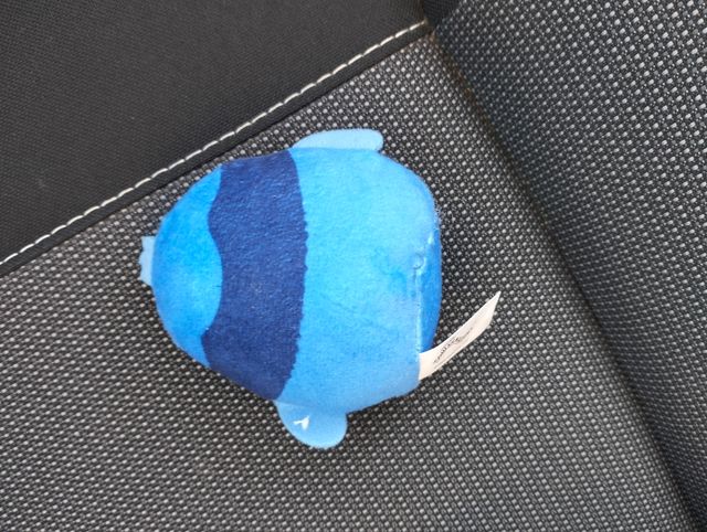 Peluche squishmallows  piccolo uccello blu