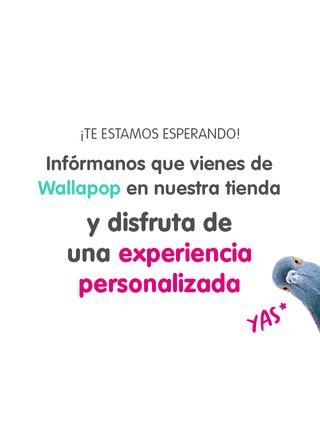 pack principiante soundsation marisol