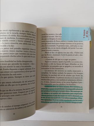 Historia de una maestra (Bolsillo) (FORMATO GRA...