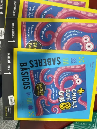 Proyecto: FanFest - Matemáticas 1 - Pauta. Trim...