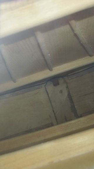 Guitarra Flamenca Bartolomé Lozano