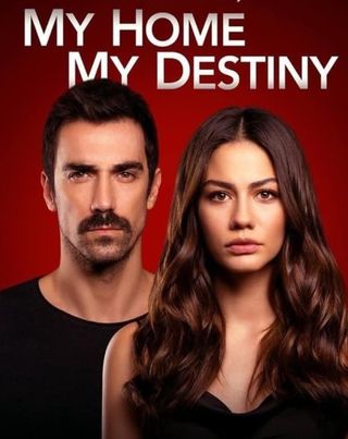 CD Serie Turca My Home My Destiny