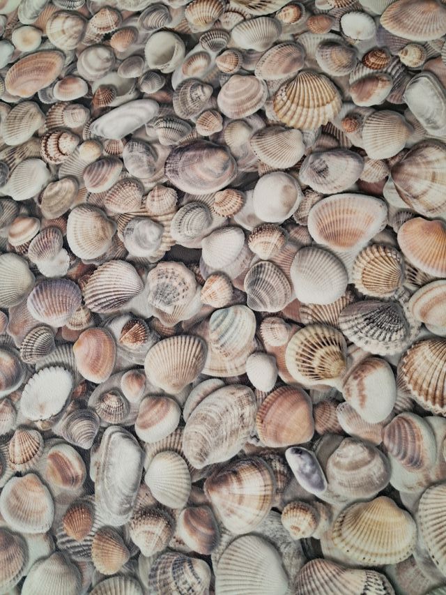 Gusci di progettazione 3D in PVC 67 x2,50