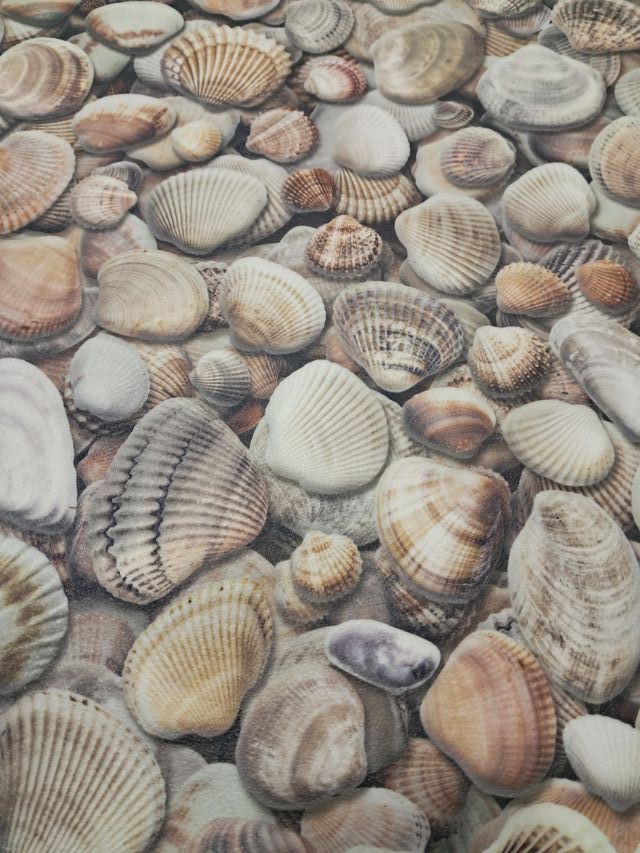 Gusci di progettazione 3D in PVC 67 x2,50