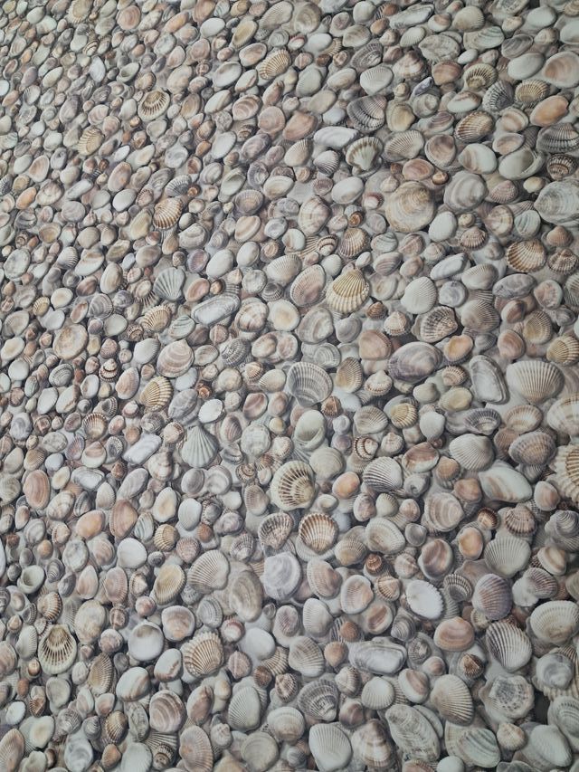 Gusci di progettazione 3D in PVC 67 x2,50