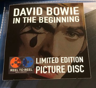 David Bowie LP Picture Disc In The Beginning