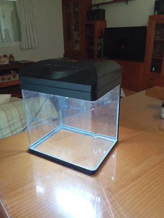 Acuario 20 Litros
