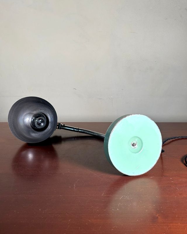 Lampada ministeriale vintage collo d'oca anni '50