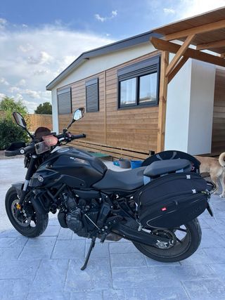 Yamaha MT-07 2023