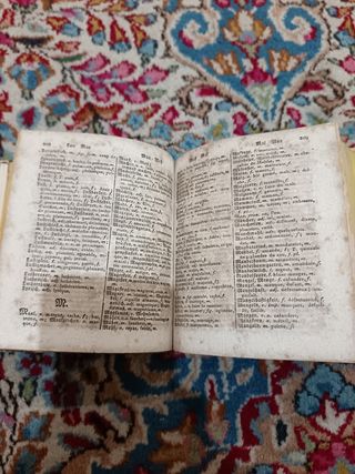 Antichissimo dizionario tascabile tedesco-francese