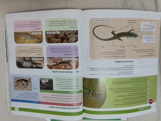 Libro Biología y Geología 1o ESO Santillana 
