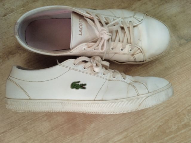 Zapatillas casual Lacoste verdes