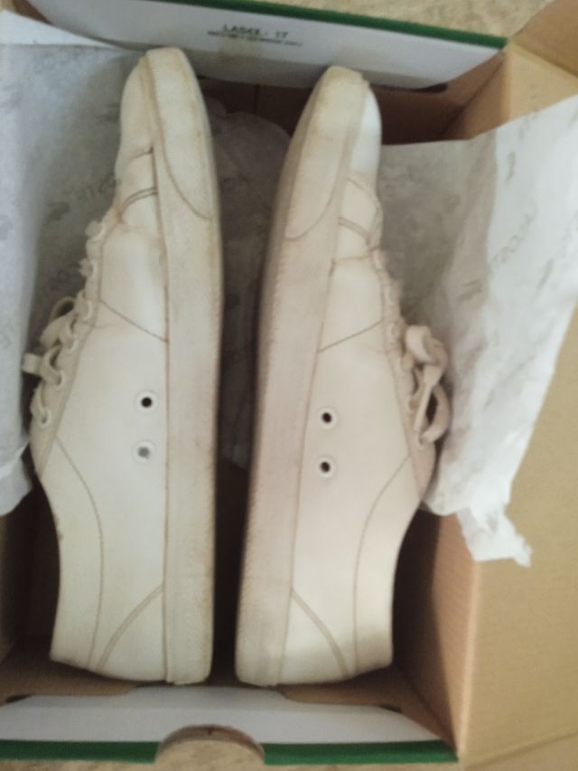 Zapatillas casual Lacoste verdes