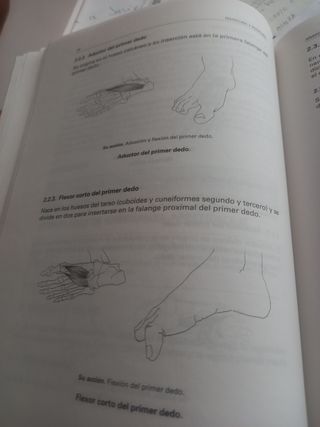 MANICURA y PEDICURA  ESTETICA de MANOS y PIES GRAD