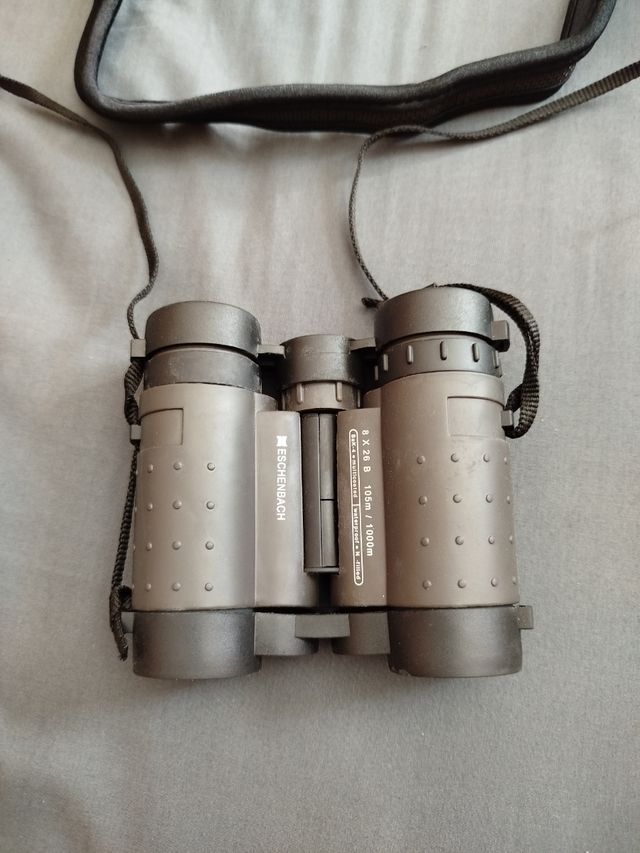 Prismáticos Eschenbach Adventure 8x26