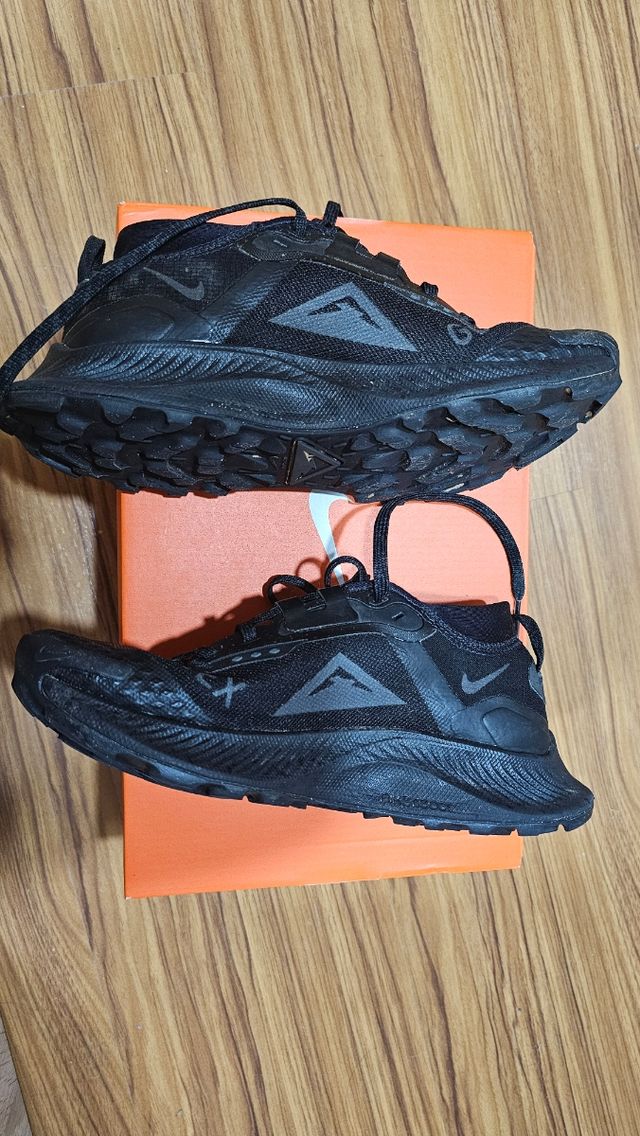 Nike Pegasus Trail 3 GTX Negro