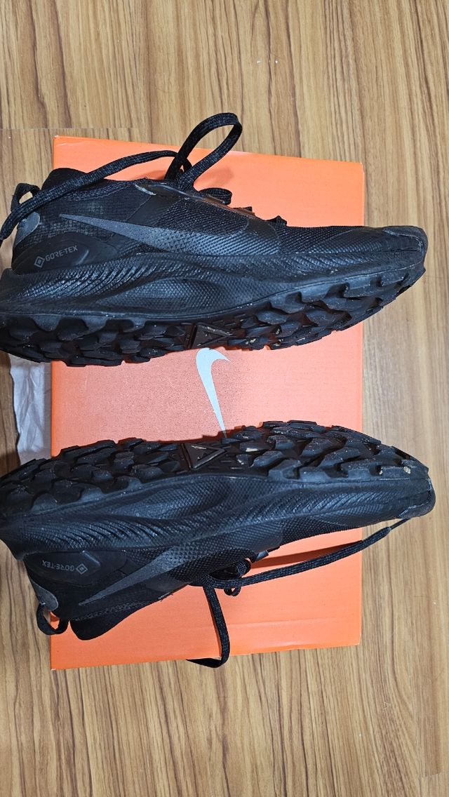 Nike Pegasus Trail 3 GTX Negro