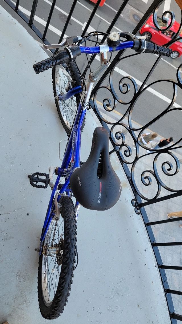 Bicicleta Azul
