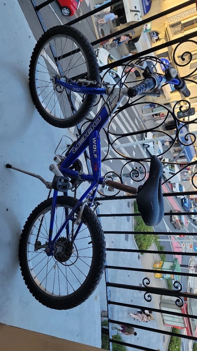 Bicicleta Azul