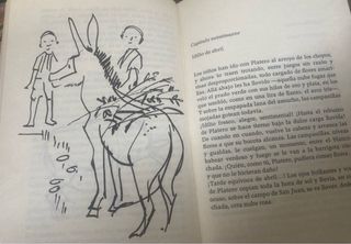 Platero y yo