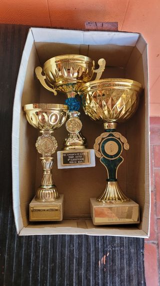 Trofeos Dorados de Ajedrez y Deportes
