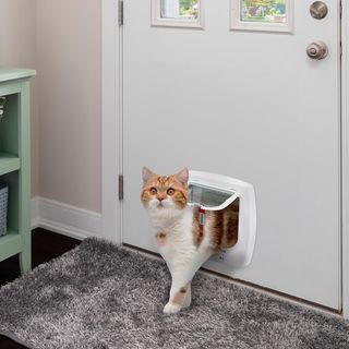 ✨ - Ferplast puerta abatible control acceso mascot
