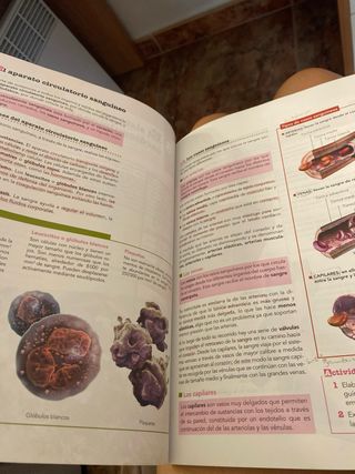Anatomía Aplicada.