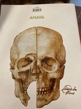 Anatomía Aplicada.