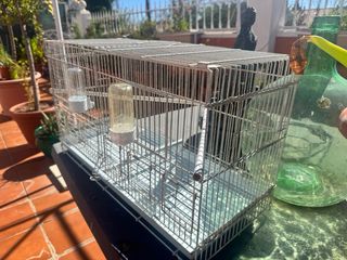 Jaula para cría de pájaros