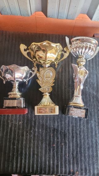 Trofeos de ajedrez 