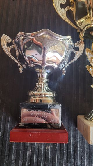 Trofeos de ajedrez 